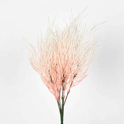 Grass Seed Bush Light Pink