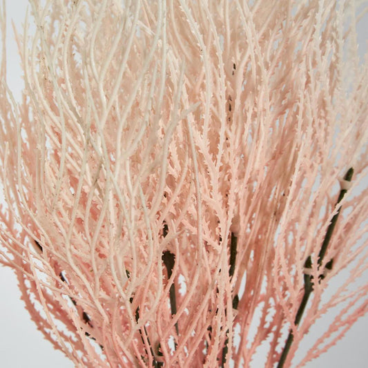 Grass Seed Bush Light Pink