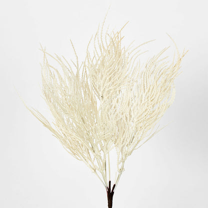 Pampas Grass Seed Spray Cream