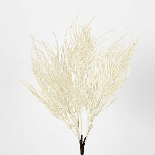 Pampas Grass Seed Spray Cream