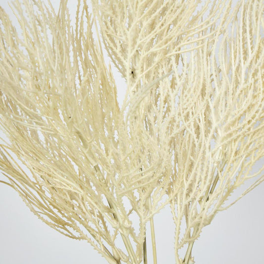 Pampas Grass Seed Spray Cream