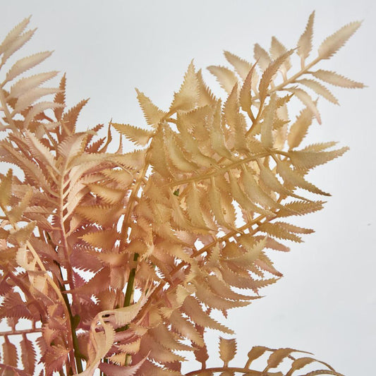 Fern Bush Pink