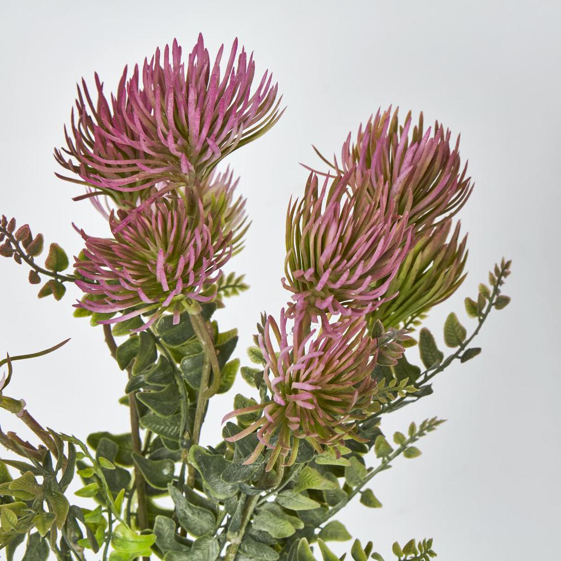 Thistle Bush x 5 Dark Pink