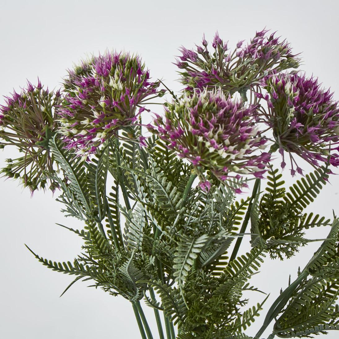 Wild Dandelion Bush Dark Pink