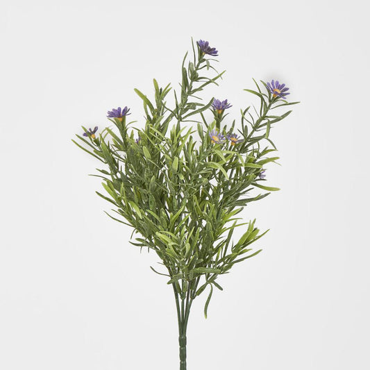 Wild Daisy Bush Purple