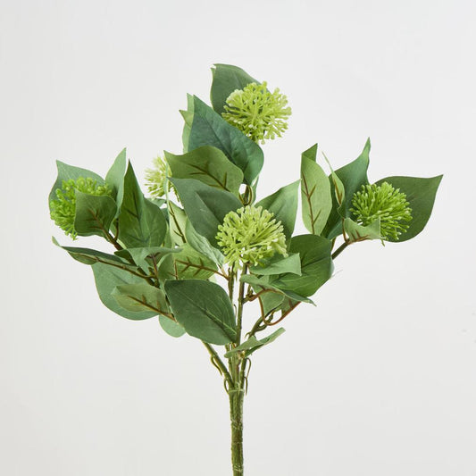 Allium Bush Green
