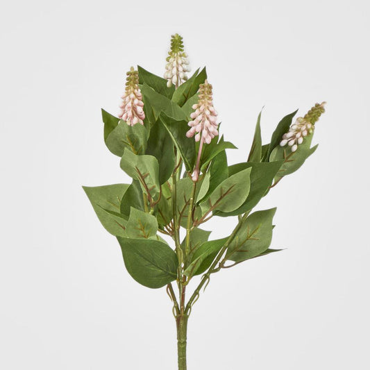 Allium Seed Bush Pink