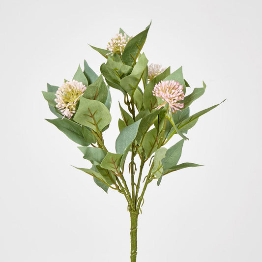 Allium Bush Pink