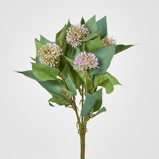 Allium Bush Purple