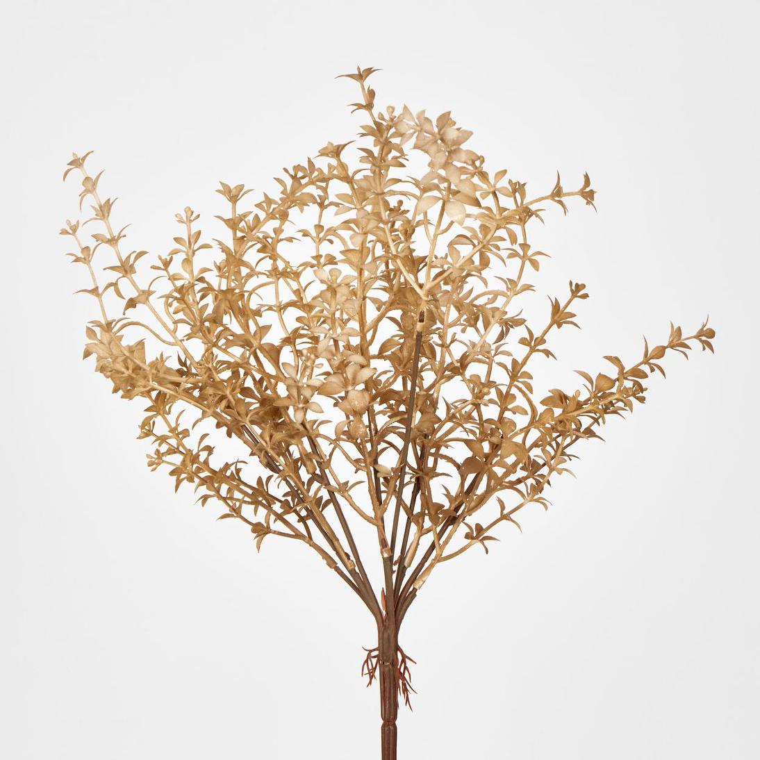 Wild Ruscus Bush Light Brown