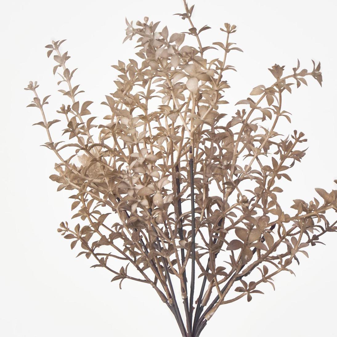Wild Ruscus Bush Light Brown