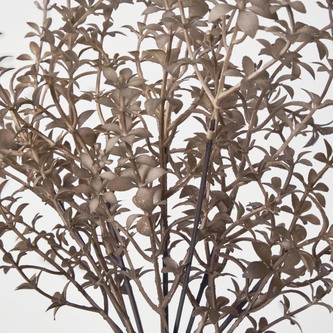 Wild Ruscus Bush Light Brown