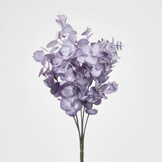 Eucalyptus Bush Purple