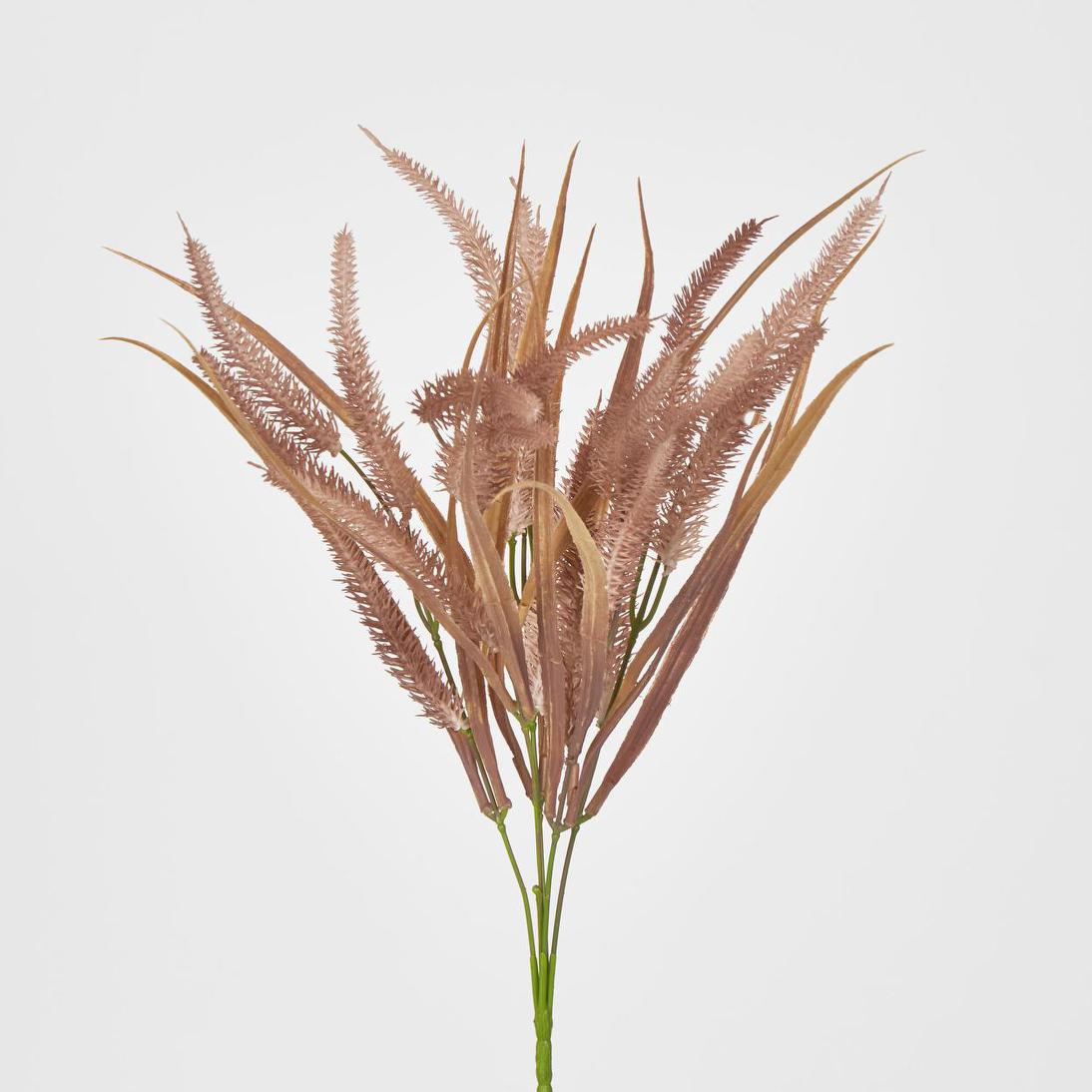 Pampas Grass Bush Pink