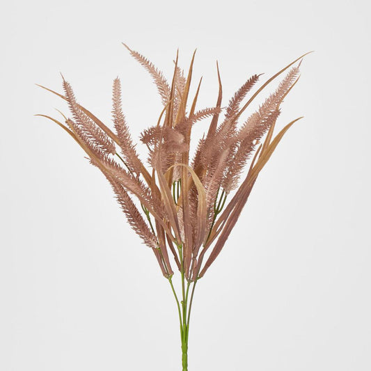 Pampas Grass Bush Pink