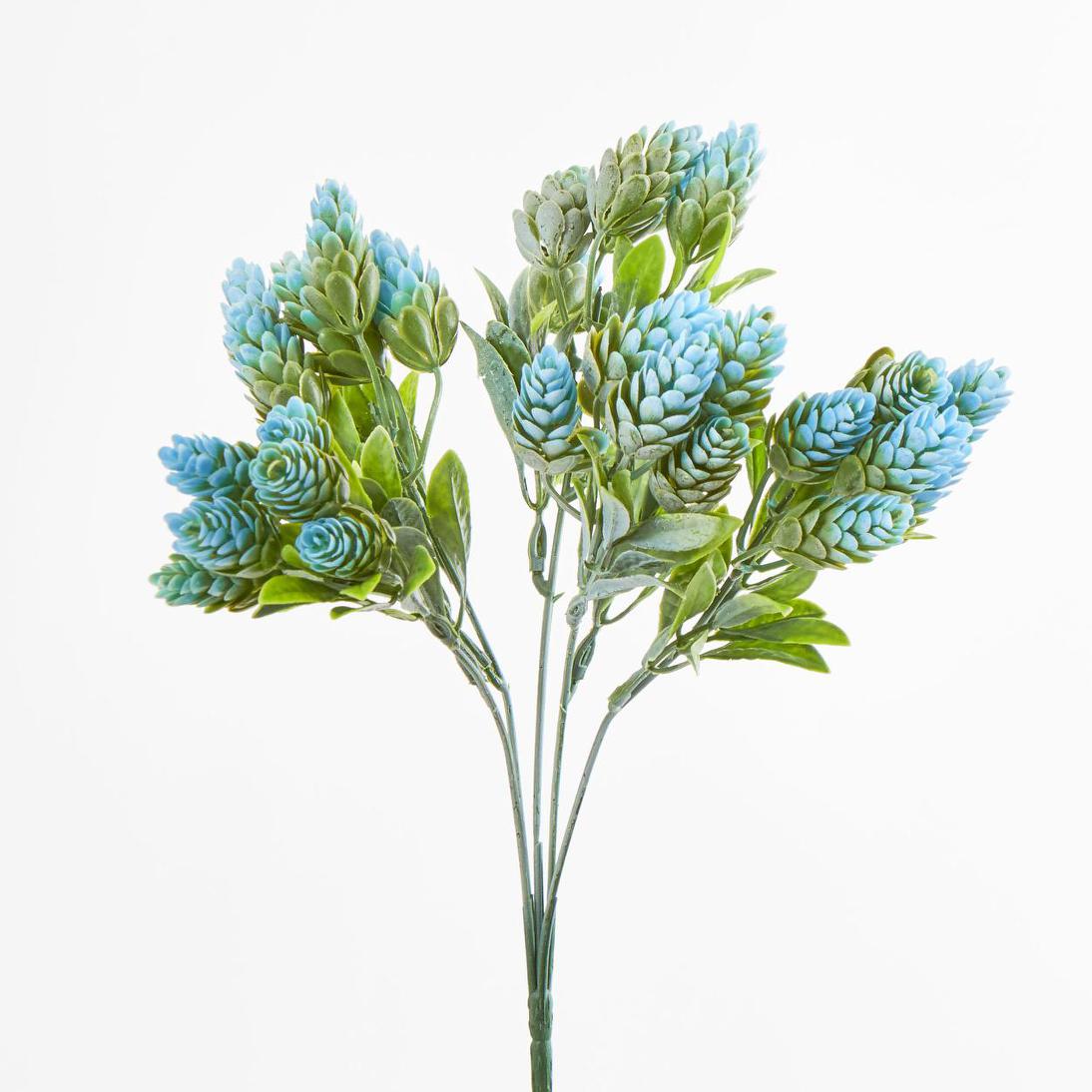Hop Bush Blue