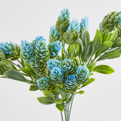 Hop Bush Blue