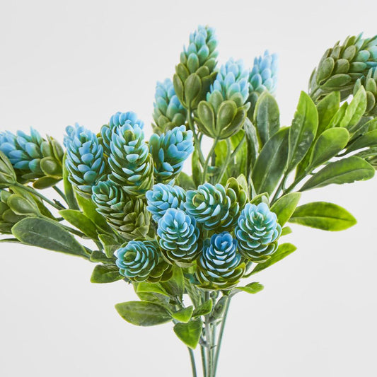Hop Bush Blue