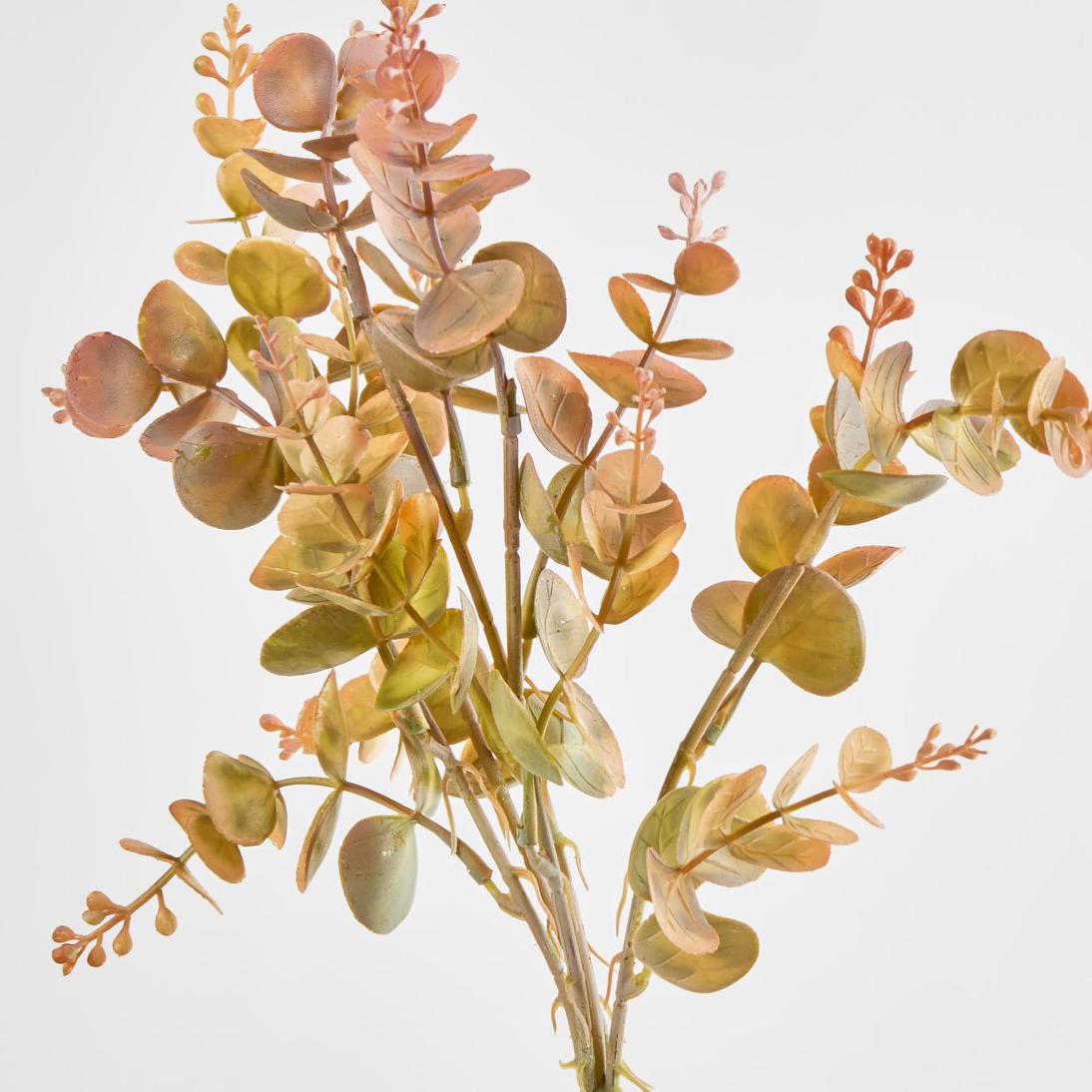 Eucalyptus Bush Yellow