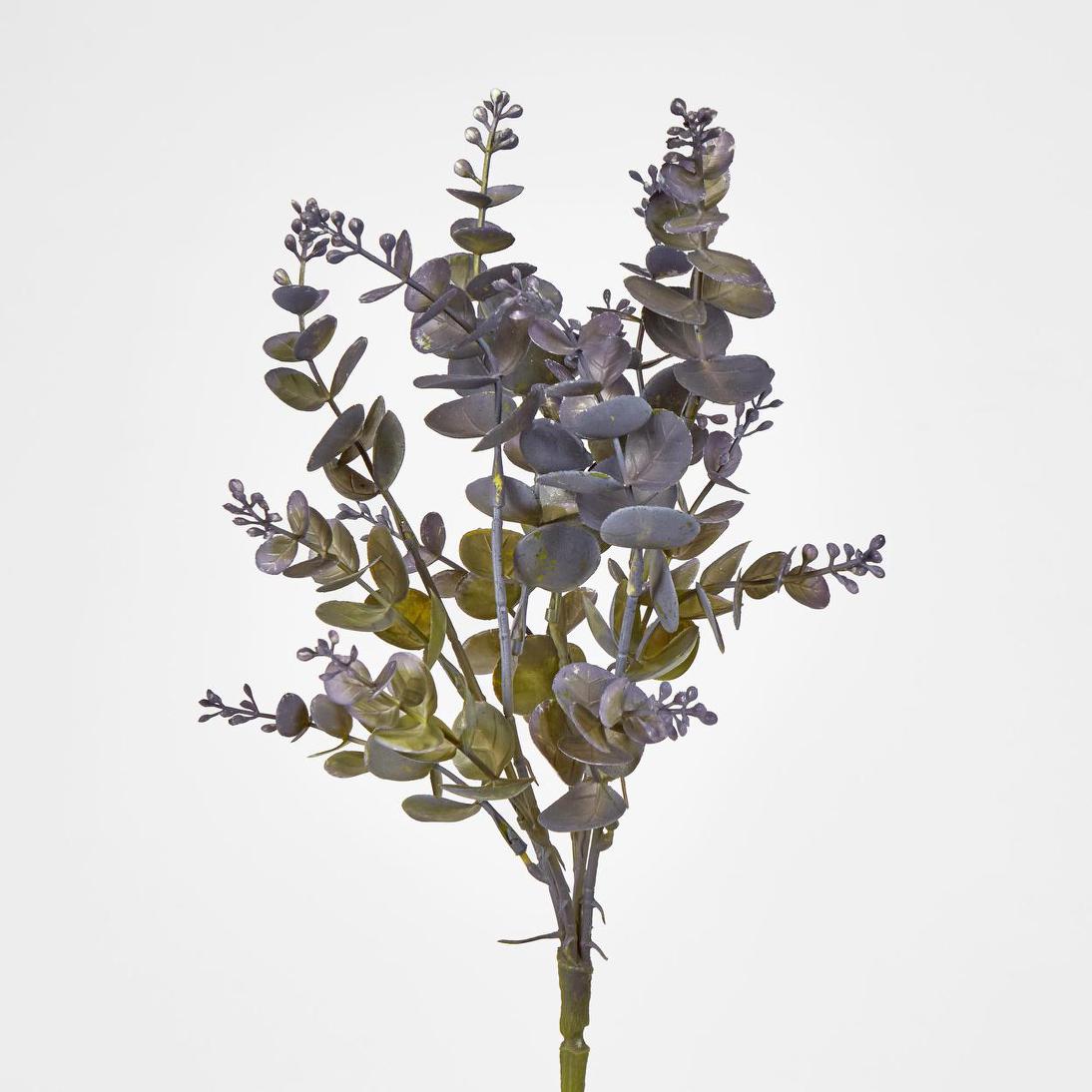 Eucalyptus Bush Purple