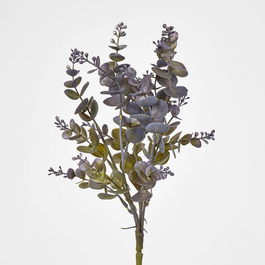 Eucalyptus Bush Purple