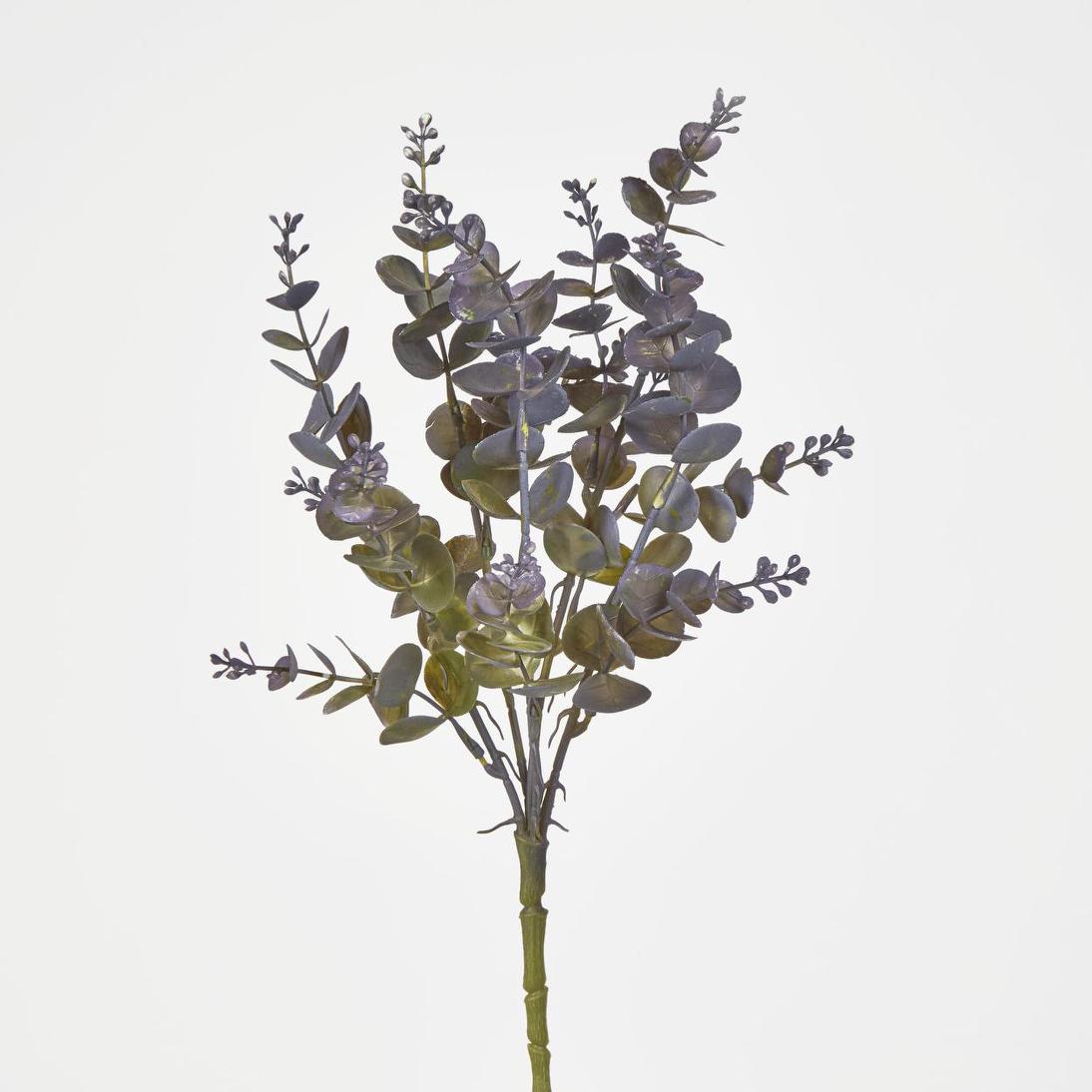 Eucalyptus Bush Purple
