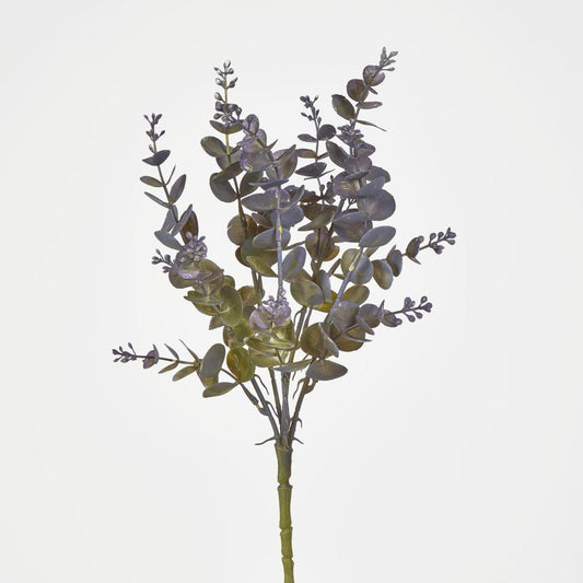 Eucalyptus Bush Purple