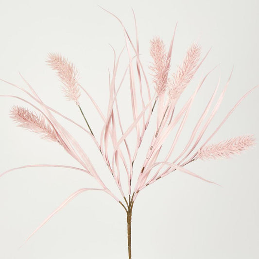 Banksia Bush Pink