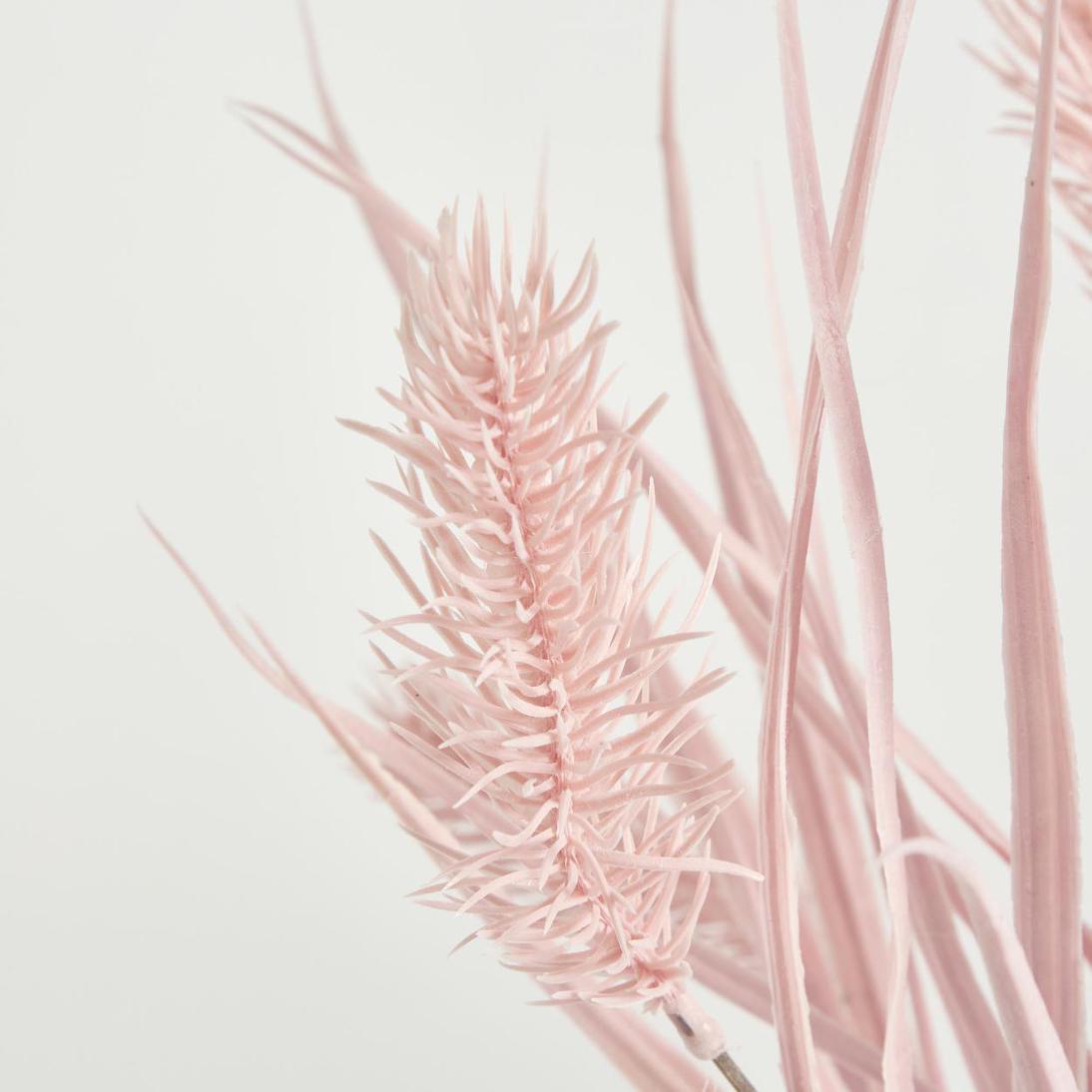 Banksia Bush Pink