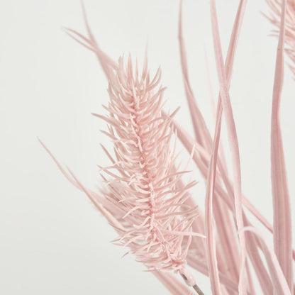 Banksia Bush Pink