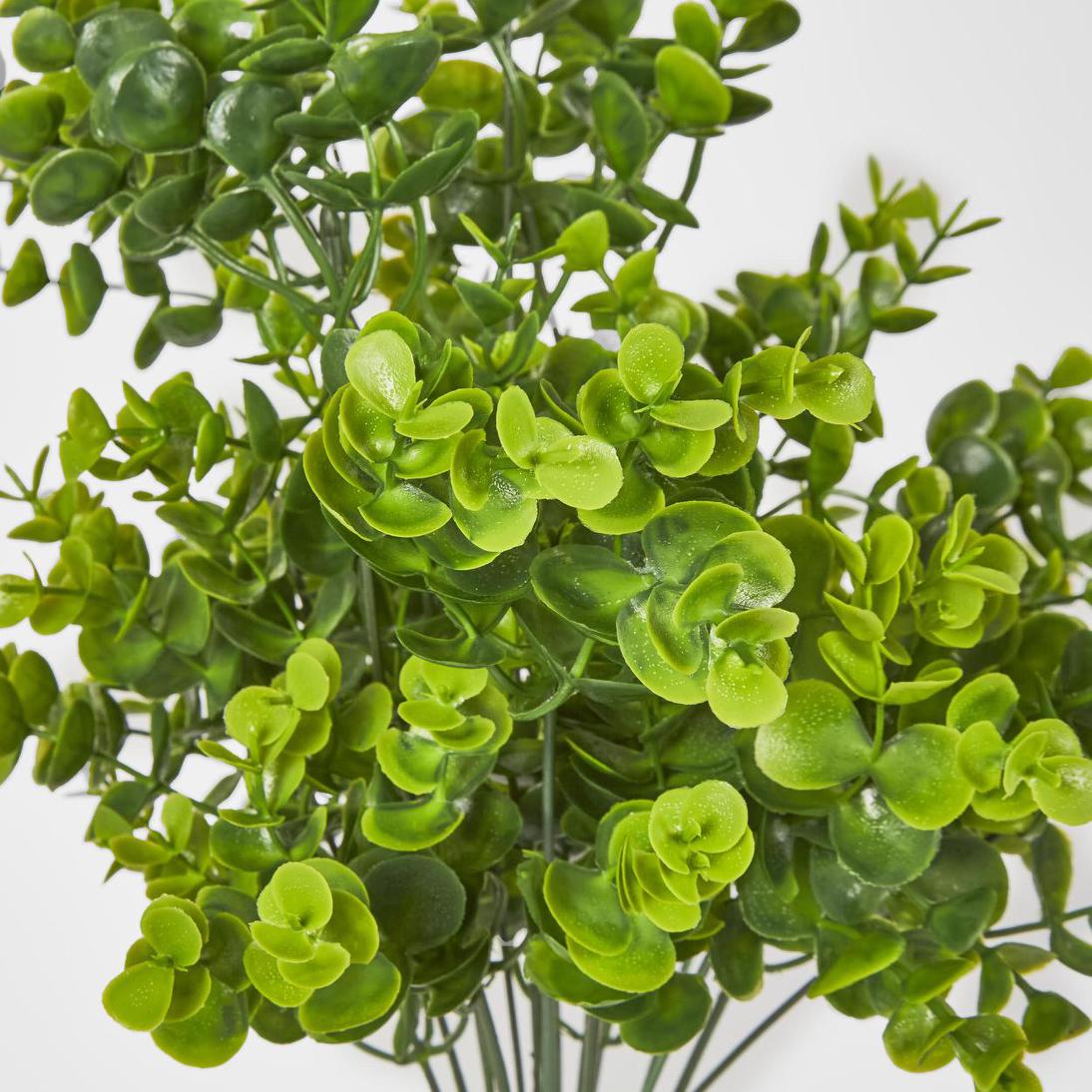 Mini Baby Eucalyptus Bush Green