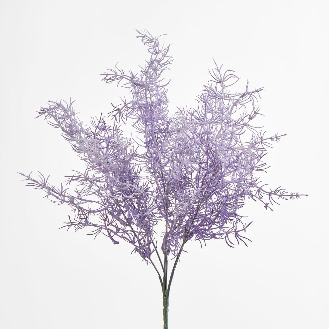 Coral Bush Purple
