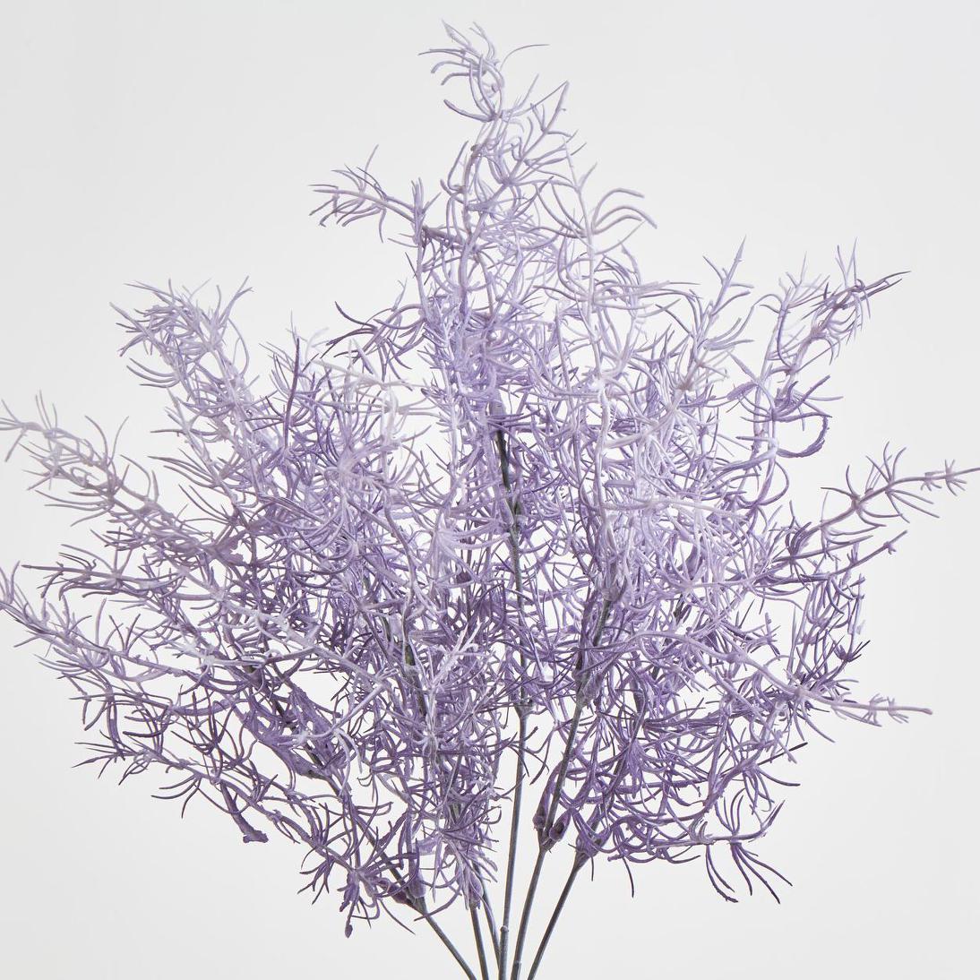 Coral Bush Purple