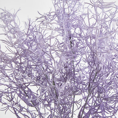 Coral Bush Purple