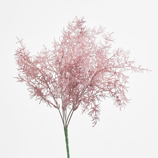 Coral Bush Pink