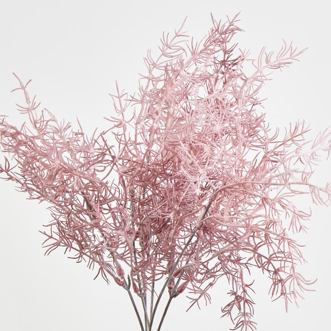 Coral Bush Pink