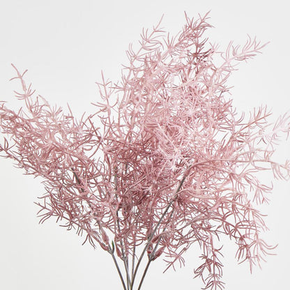 Coral Bush Pink