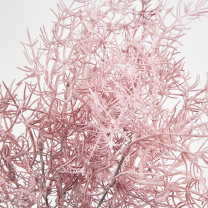 Coral Bush Pink