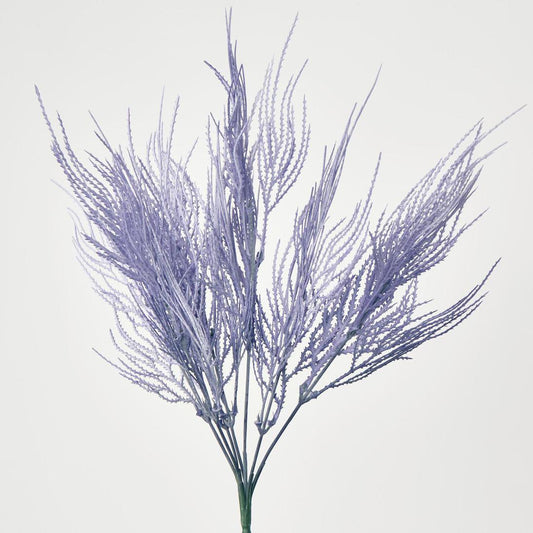 Pampas Grass Bush Purple