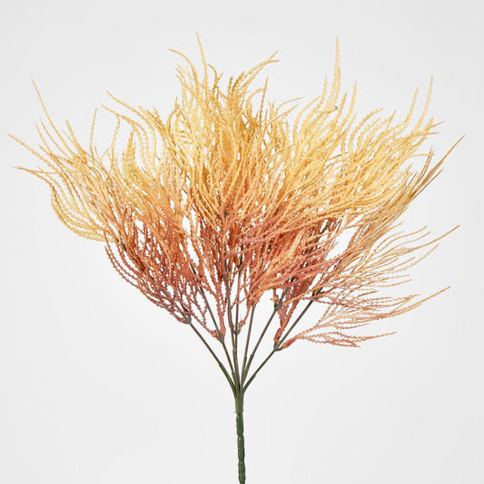 Pampas Grass Bush Orange