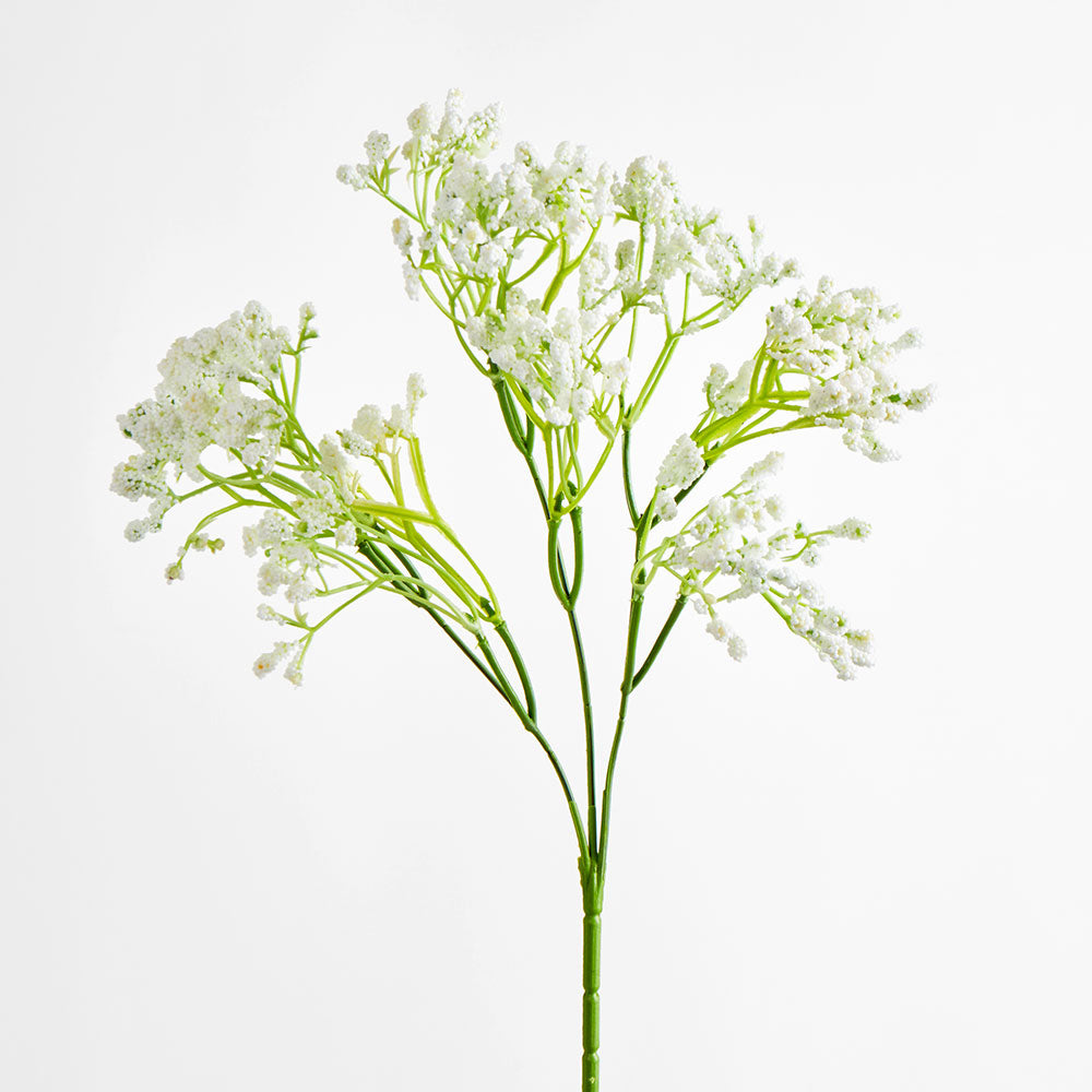 Baby's Breath Spray White