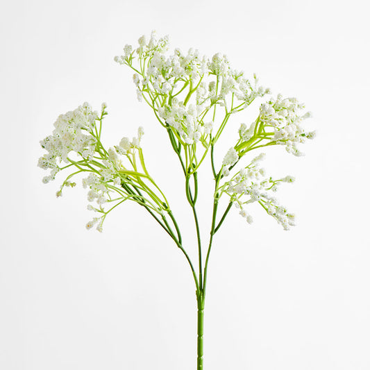 Baby's Breath Spray White