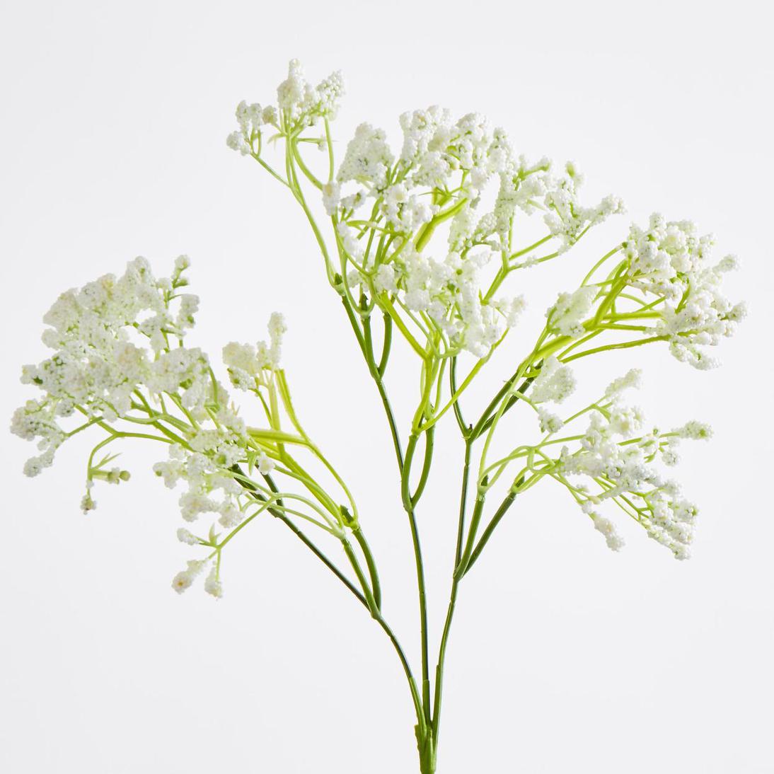 Baby's Breath Spray White