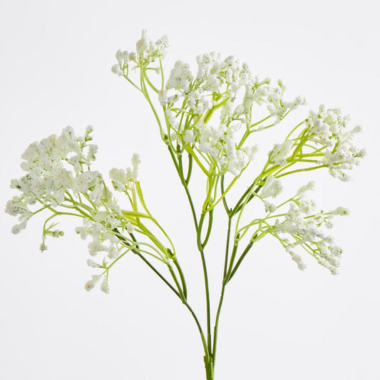Baby's Breath Spray White