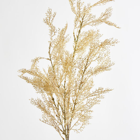 Pampas Grass Bush Cream