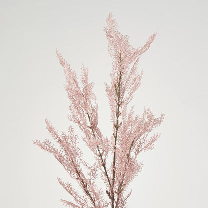 Pampas Grass Bush Pink