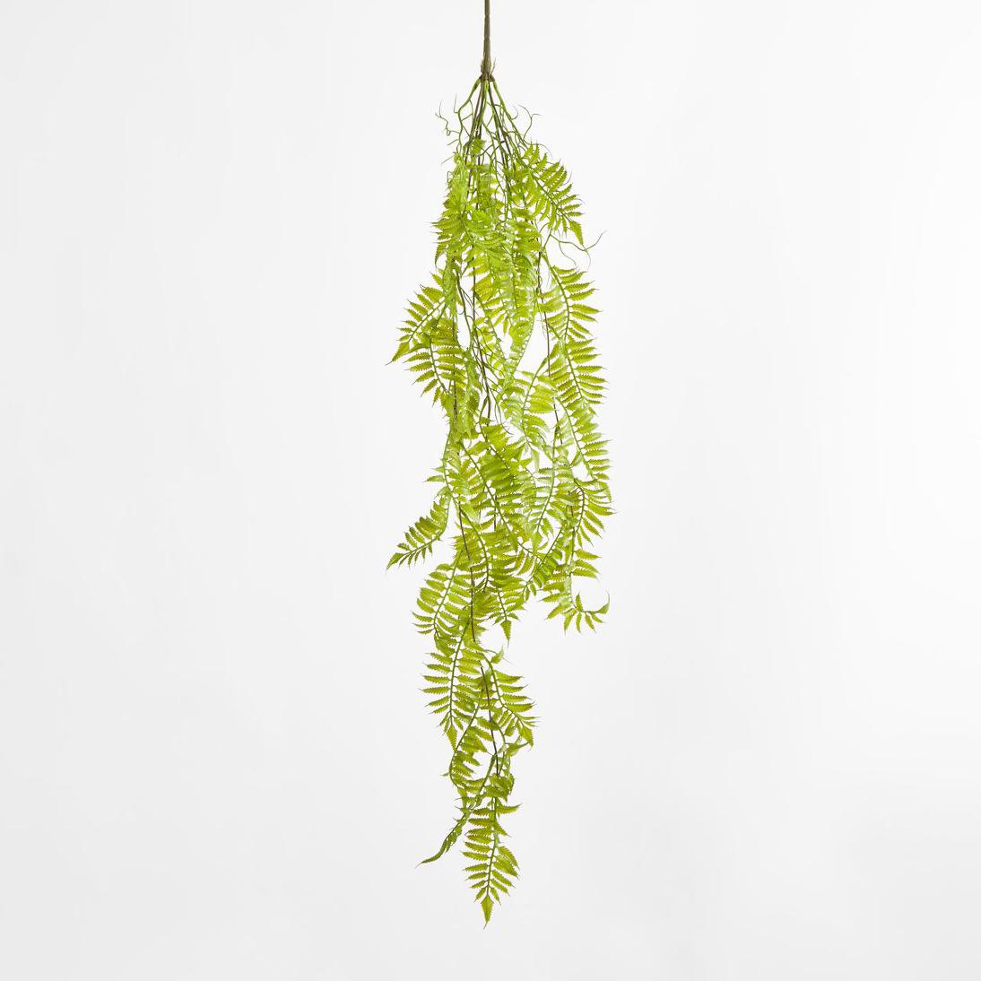 Hanging Fern Green