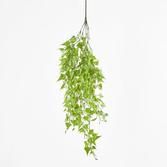 Hanging Leaf Bush Green