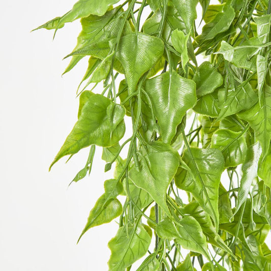 Hanging Leaf Bush Green