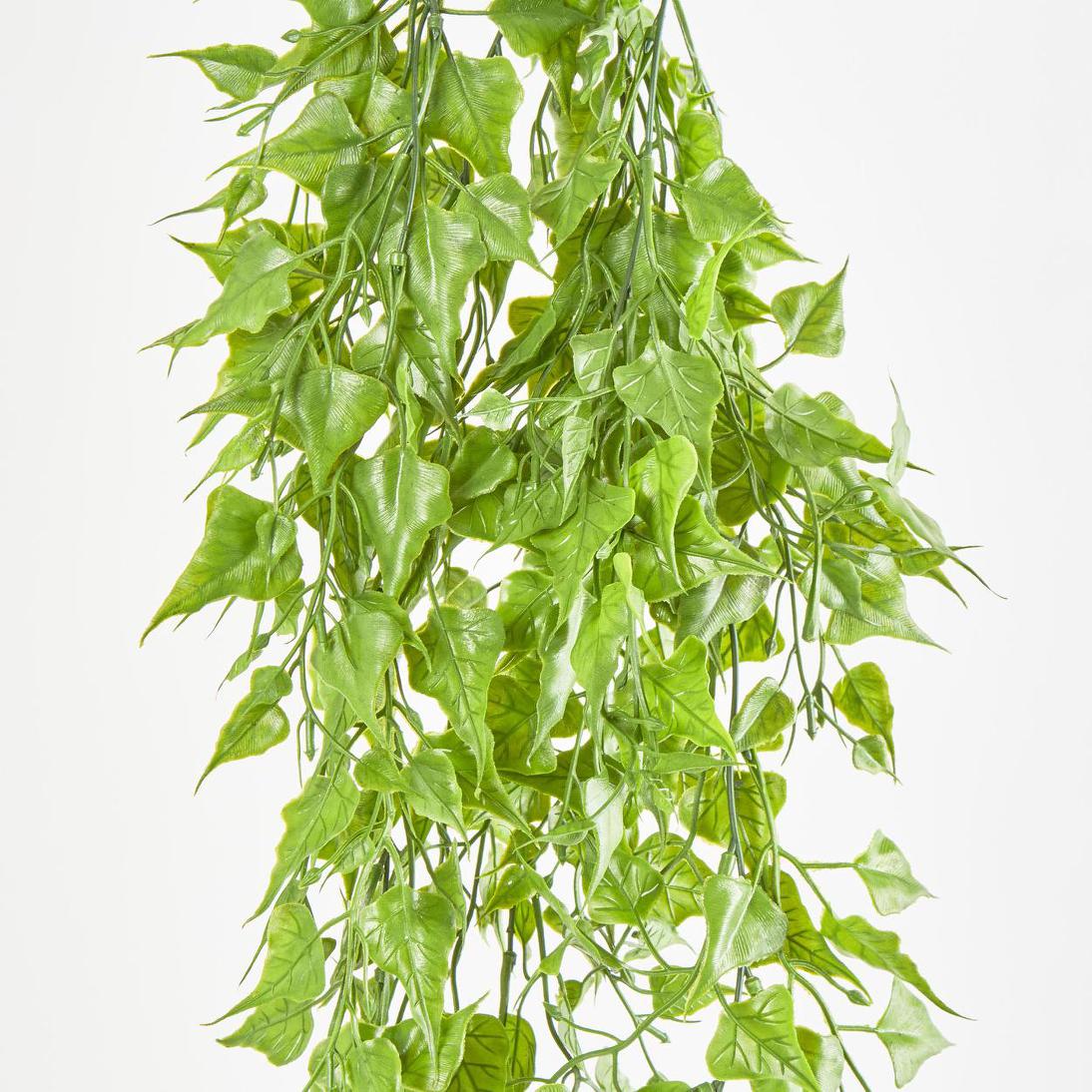 Hanging Leaf Bush Green